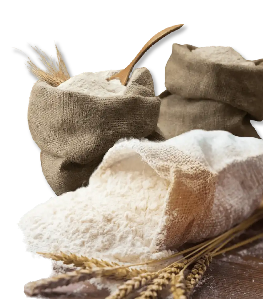 flour manufacturing company